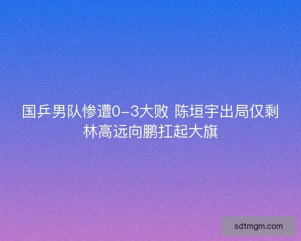国乒男队惨遭0-3大败 陈垣宇出局仅剩林高远向鹏扛起大旗